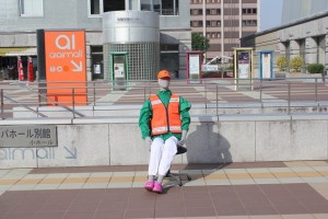 グレー(正面)日向